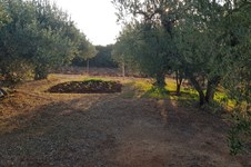 Property 33651 photo 23