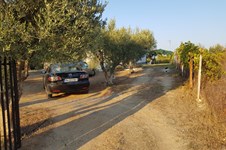 Property 33651 photo 24