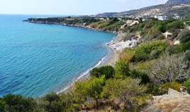 Terrain 5500 m² en Crète