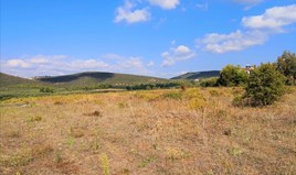 Land 30600 m² in Sithonia, Chalkidiki