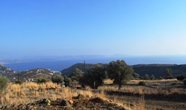 Land 4723 m² in Crete