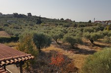 Property 33759 photo 31