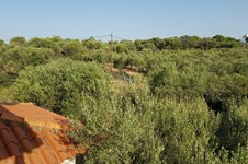 Property 33759 photo 32