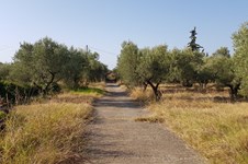 Property 33759 photo 34
