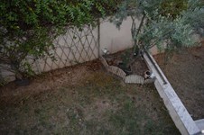 Property 33772 photo 36