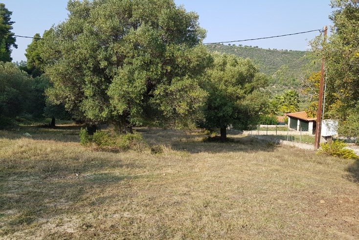 Realty photo 1