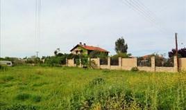 Land 3100 m² in Kassandra, Chalkidiki