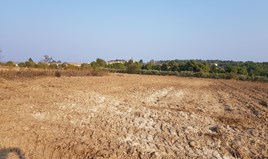 Γη 11005 μ² στην Κασσάνδρα