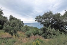 Property 33815 photo 1