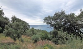 Land 13000 m² auf Korfu