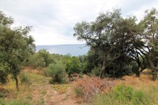 Property 33815 photo 2
