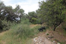 Property 33815 photo 4