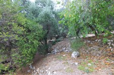 Property 33815 photo 5