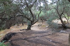 Property 33815 photo 6