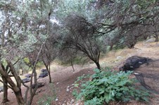 Property 33815 photo 7