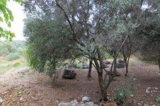 Property 33815 photo 8