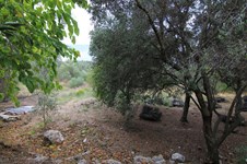 Property 33815 photo 9