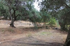 Property 33815 photo 10