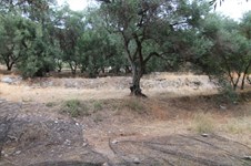 Property 33815 photo 11