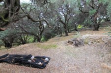Property 33815 photo 12