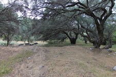 Property 33815 photo 13