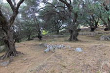 Property 33815 photo 14