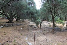 Property 33815 photo 15