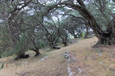 Property 33815 photo 16
