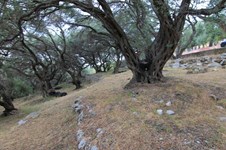 Property 33815 photo 17