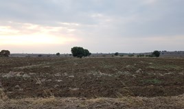 Land 8090 m² in Kassandra, Chalkidiki