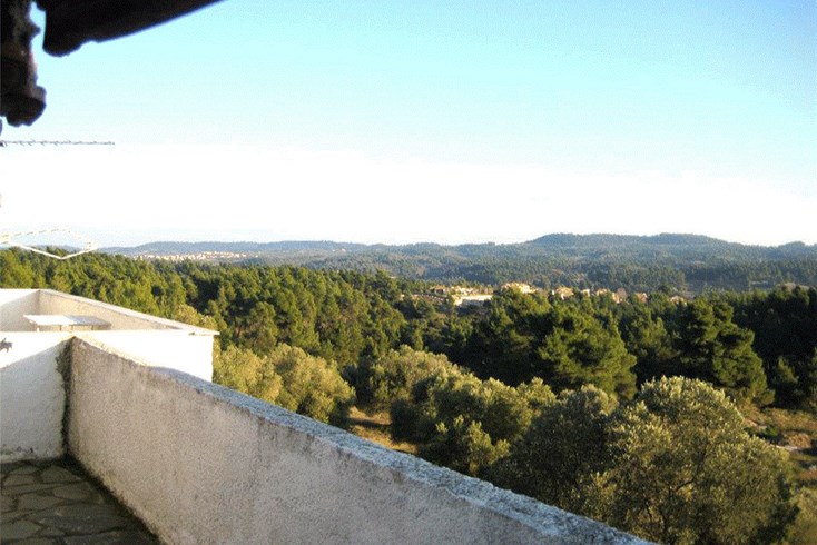 Realty photo 3