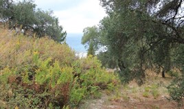 Land 2800 m² auf Korfu