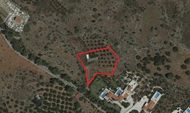 Парцел 4366 m² на Крит