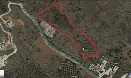Land 21311 m² auf Kreta