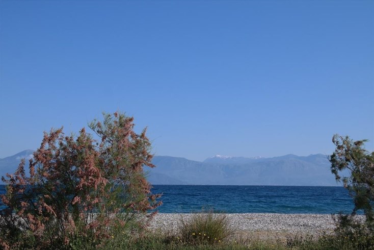 Realty photo 2