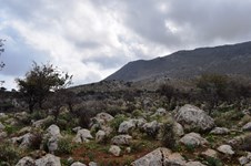 Property 34009 photo 4