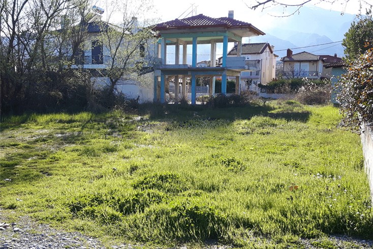 Realty photo 1