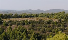 Zemljište 5000 m² na Sitoniji (Halkidiki)