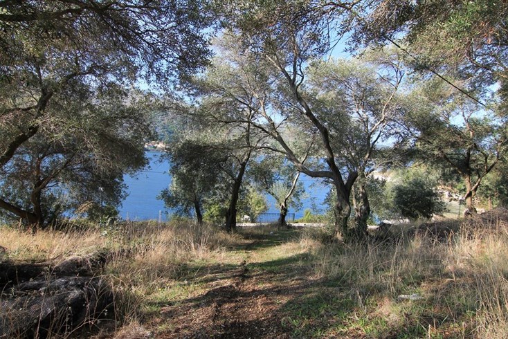 Realty photo 2