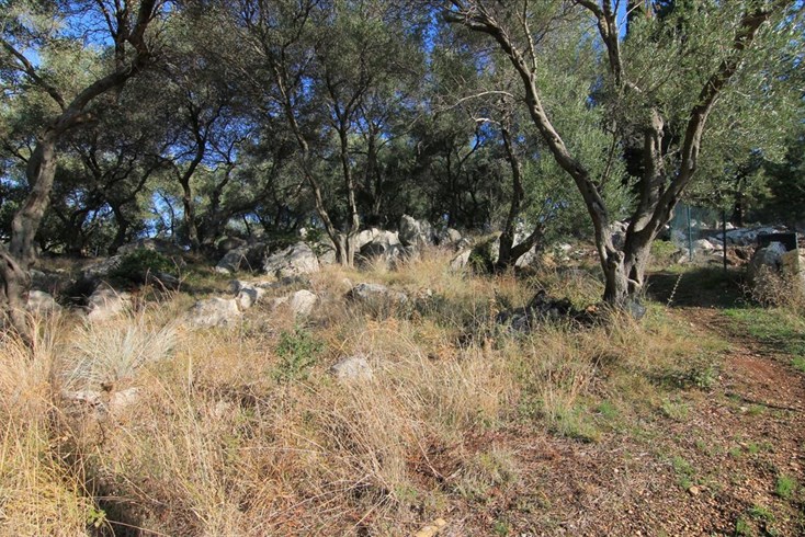 Realty photo 3