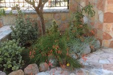 Property 34043 photo 27