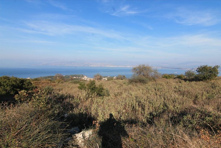 Realty photo 2