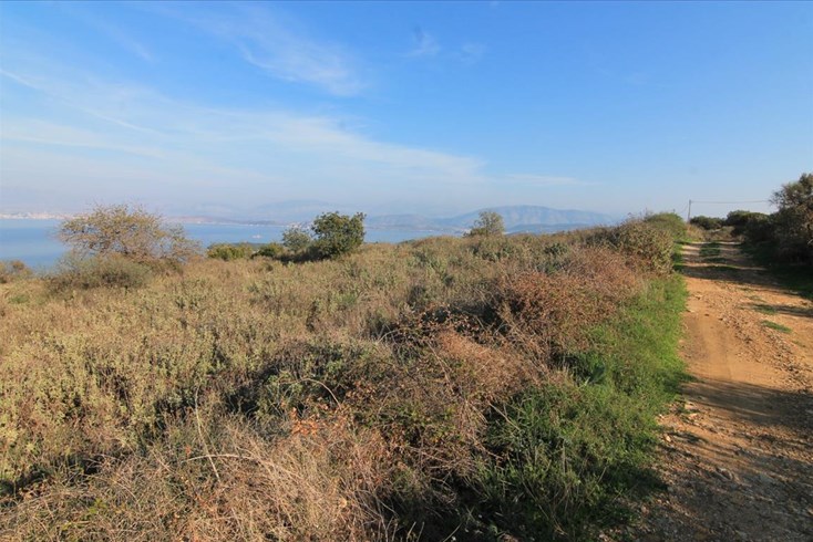Realty photo 3
