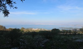 Land 22000 m² in Corfu