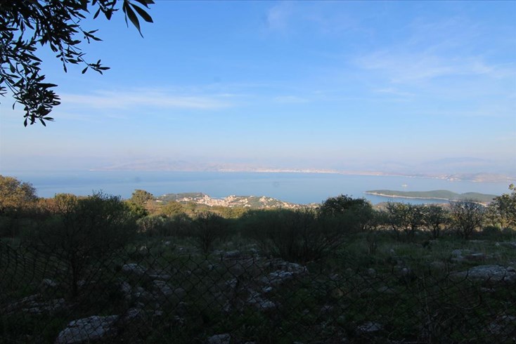 Realty photo 1