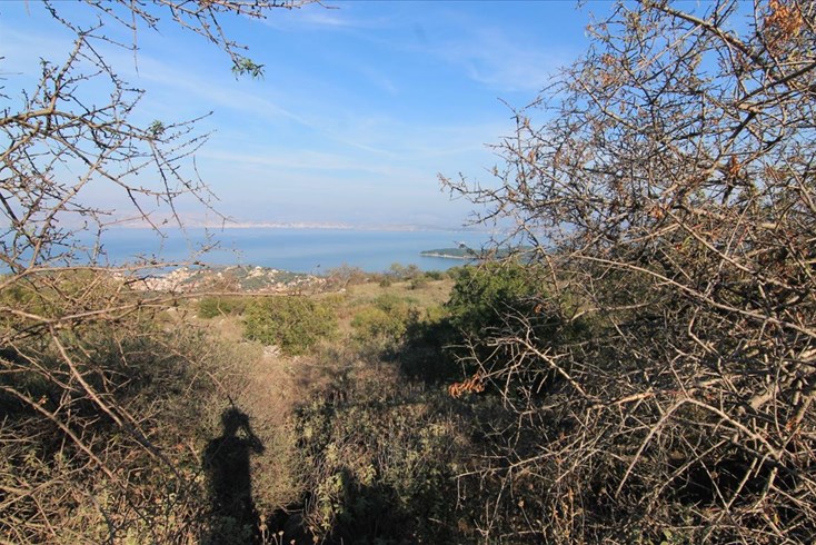 Realty photo 3