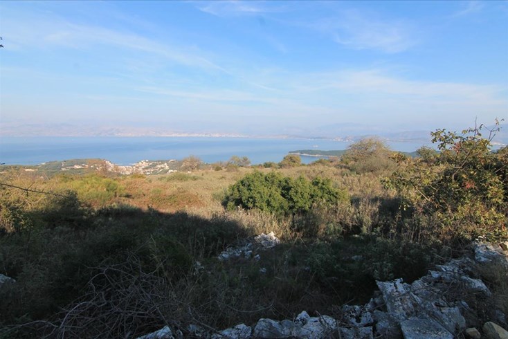 Realty photo 2