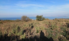 Land 11000 m² auf Korfu