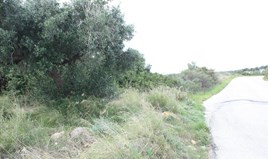 Land 25000 m² in Crete