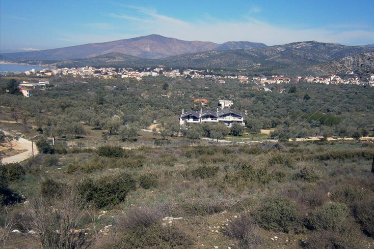 Realty photo 1
